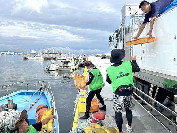 日本釣振興会による相馬港での放流の準備の様子