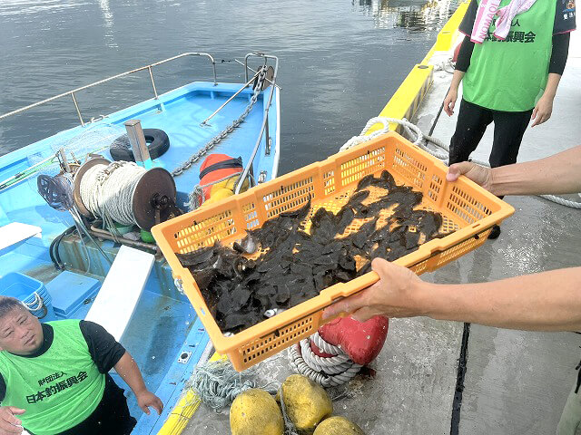 日本釣振興会による相馬港での放流の準備の様子