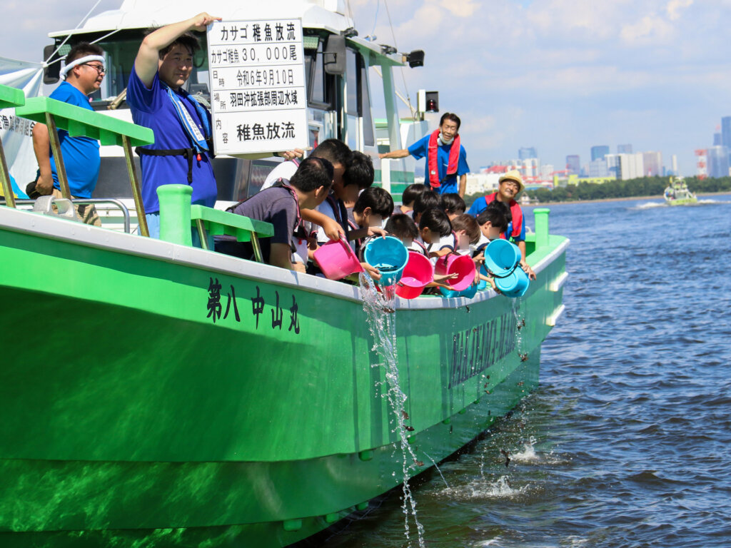 東京湾稚魚放流のカサゴの観察の様子