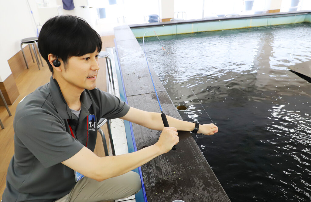 つり掘遊で魚を釣っている写真