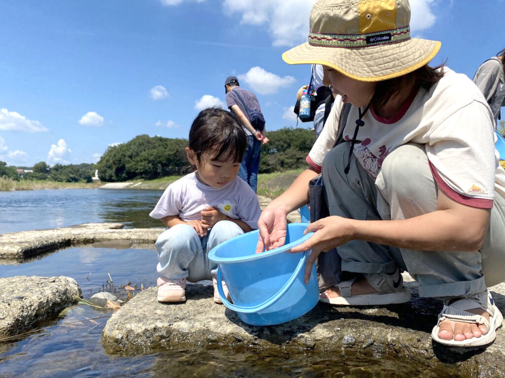 入間川での放流の様子