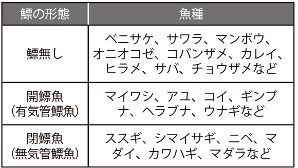 魚種と鰾の形態