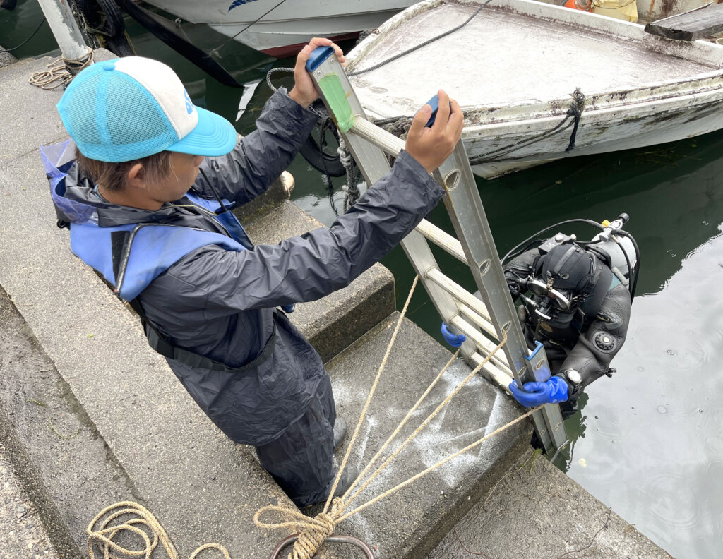 切通し舟溜の水中清掃の様子