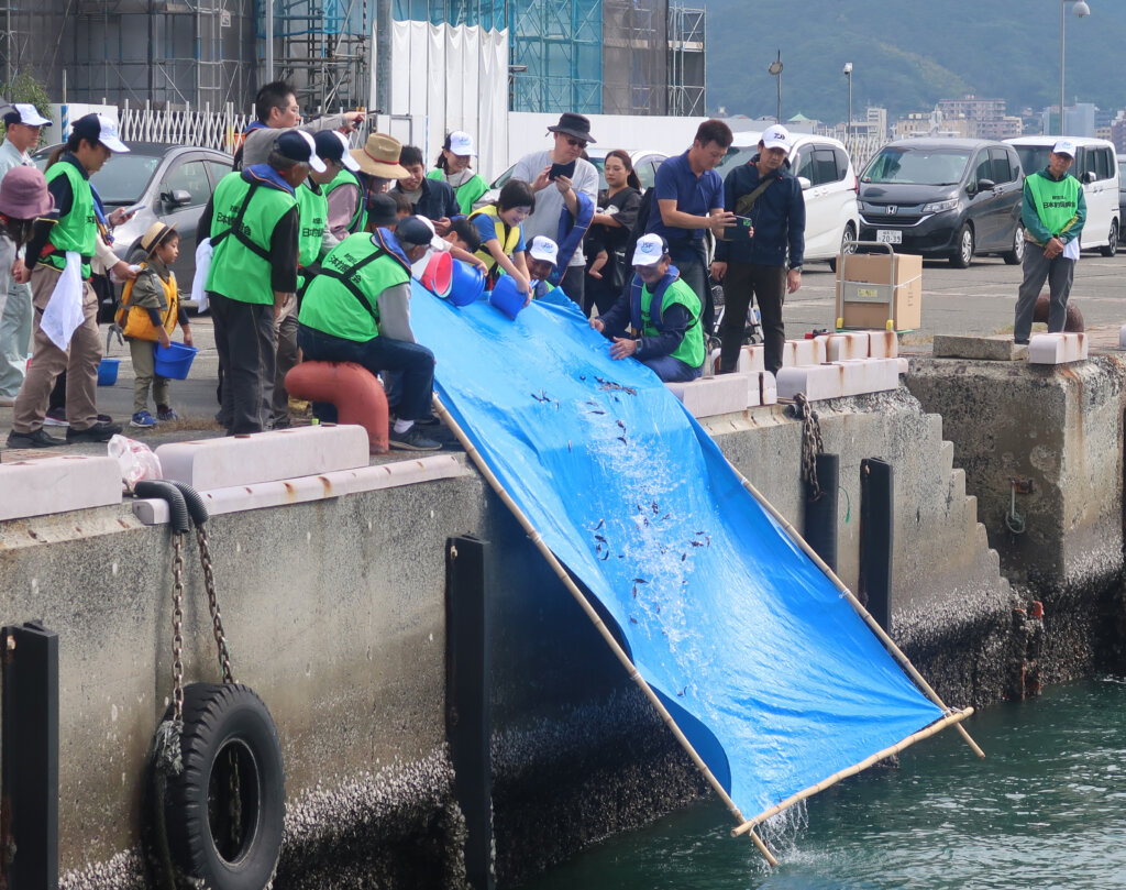 「下関ファミリー釣り体験教室」の稚魚放流の様子