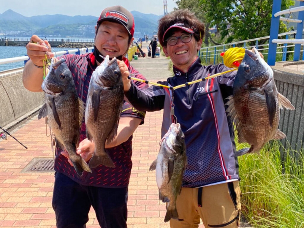 日明・海峡釣り公園での釣果