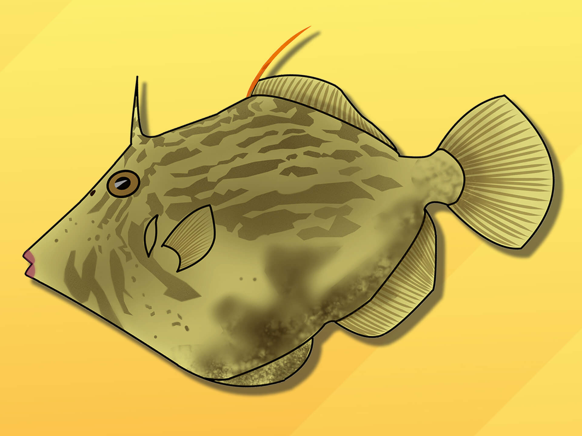エサ取り名人「カワハギ」。どうやって捕食してる？【長岡寛・お魚さん